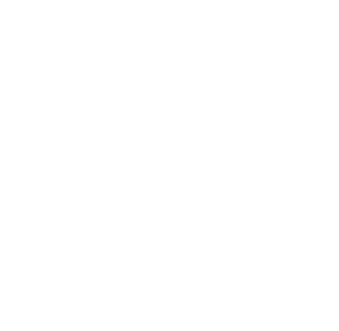 AudioVita Logo